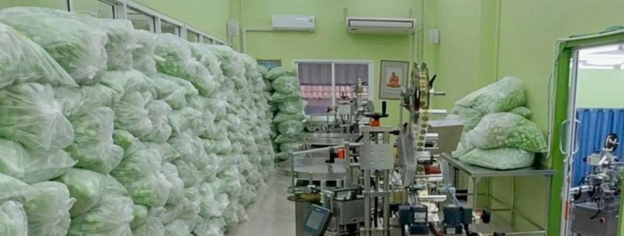 泰国知名鼻通品牌非法生产工厂被查