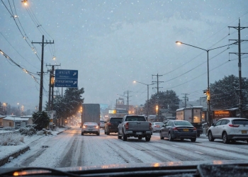泰国的凉季又到了 今年的曼谷雪景图又来了
