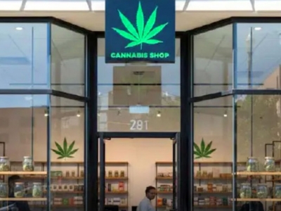 泰国大麻政策转向引发行业震荡，超7000家店铺面临退场