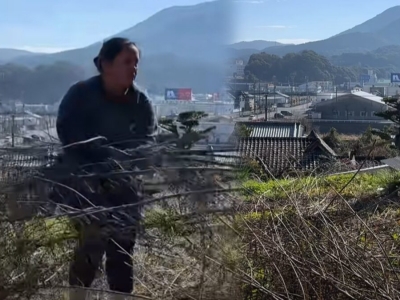 太胖违法！一在日泰国人被勒令减肥