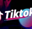 7月30日 tiktok官方育商训练营第一次线下活动