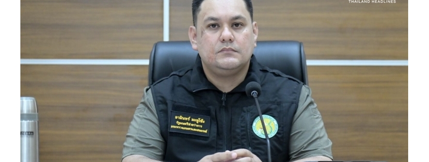 未检出禽流感，清迈72只老虎死亡原因确认为犬瘟热