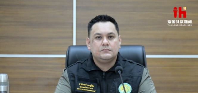 未检出禽流感，清迈72只老虎死亡原因确认为犬瘟热