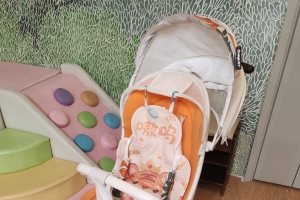 高颜值遛娃神器原价1599元，特价800元出，9成新，使用很少，送冰坐垫