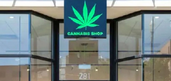 泰国大麻政策转向引发行业震荡，超7000家店铺面临退场