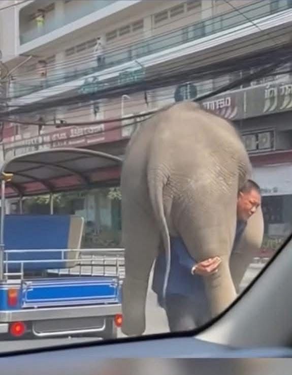 微信图片_20251016095213_60_100.jpg
