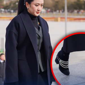 因一双鞋被检举！泰总理佩通坦或将面临永久撤销总理选举权？！
