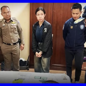 勒索、诈骗！涉案金额超过6.1亿！一对中国男女在泰国落网