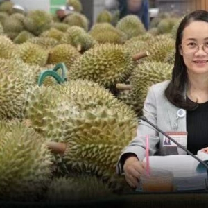 泰国议员促政府与中方协商，放宽榴莲出口检疫防止果品腐坏