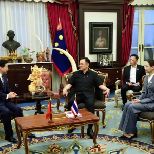 韩志强大使偕中国地震灾害救援专家拜会泰国副总理兼内政部长阿努霆