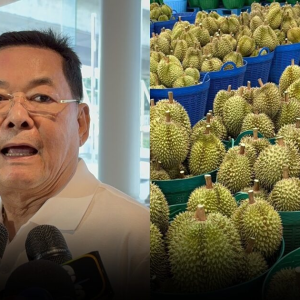 泰国榴莲输华连遇挑战：GAP认证遭冒用，检测实验室被中国暂停认证