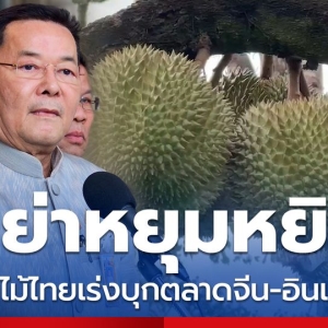 佩通坦英明决策，榴莲直播销售成绩佳