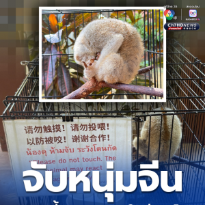 中国男子在泰非法饲养受保护动物被抓！