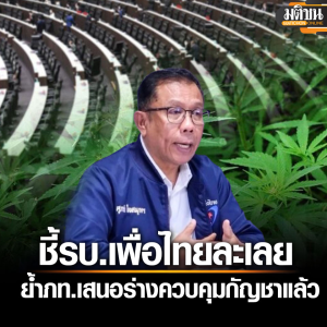 翻脸甩锅！泰自豪党推动大麻合法却反怪为泰党放任不管