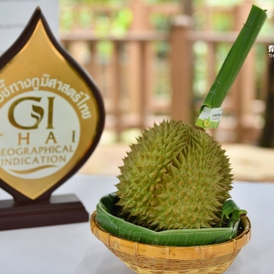 榴莲有“身份”了！泰国GI SMARTTRACE系统正式启用