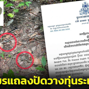 柬埔寨边境埋地雷致泰国多名士兵受伤？柬方回应：毫无根据！