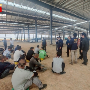 大清扫！泰就业厅严打非法外劳，春武里某工地55名外劳被捕