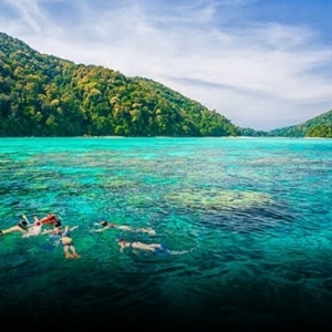 10月中旬起，这6个海洋国家公园将启用电子门票系统！