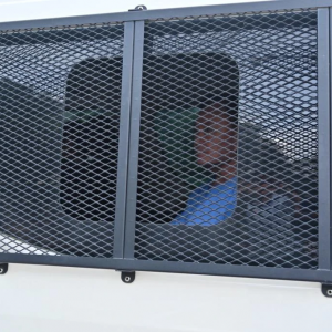 他信二次申请皇家赦免，司法部透露已成立委员会审核，预计3天内完成