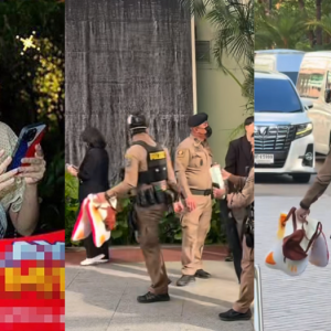 一文看懂这场闹剧！集体退赛？泰国主办疑怒吼“蠢蛋”，选出冠军观众不买账？