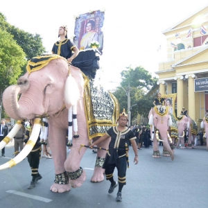 11头“粉象”大皇宫前跪地长鸣，深切悼念诗丽吉王太后