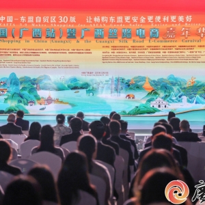 购在中国（广西站）暨广西丝路电商嘉年华活动启幕