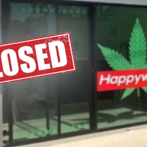 2025泰国大麻店关闭超7000家，新法规限定医疗机构销售