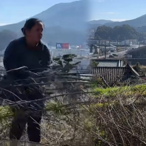 太胖违法！一在日泰国人被勒令减肥