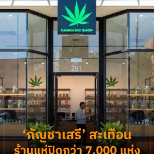泰国大麻政策转向引发行业震荡，超7000家店铺面临退场